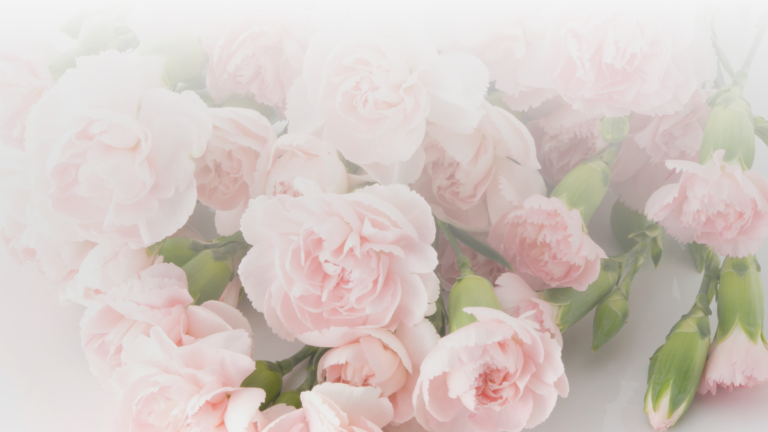 El lenguaje de las flores en Floristeria Ramos Telde